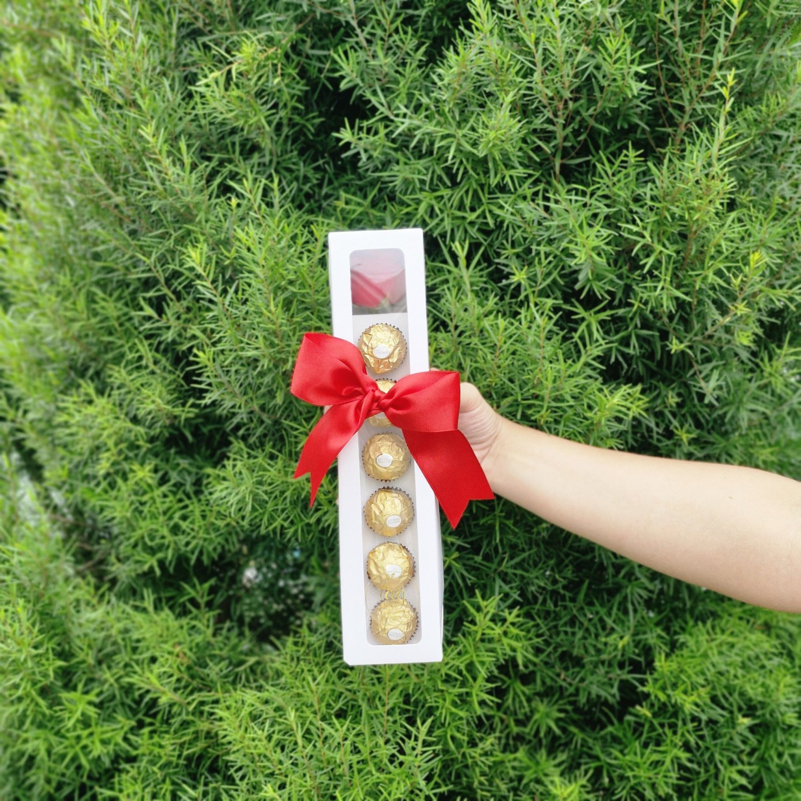 Imagem do WhatsApp de 2025-04-04 à(s) 09.59.21_923124a1 Rosa Solitária com Ferrero Rocher - Imagem 1