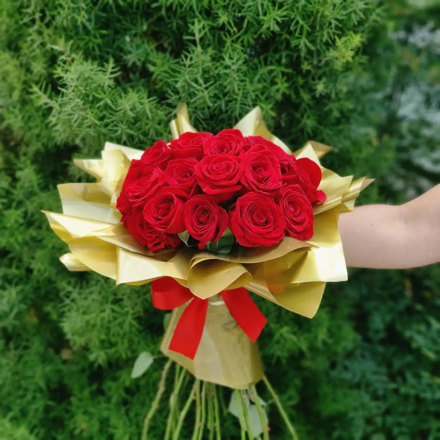 Buquê com 20 Rosas - Imagem 1